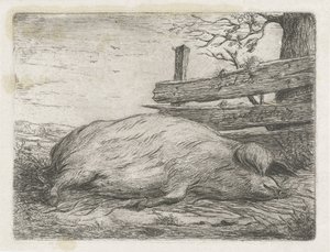 Liggende villsvin av Jacobus Cornelis Gaal