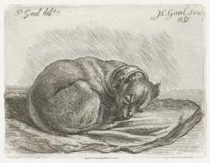 Sovende hund, liggende på et teppe av Jacobus Cornelis Gaal