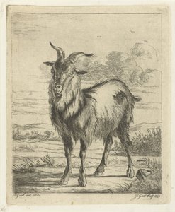 stående geit av Jacobus Cornelis Gaal