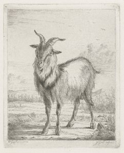 stående geit av Jacobus Cornelis Gaal
