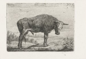 stående okse av Jacobus Cornelis Gaal
