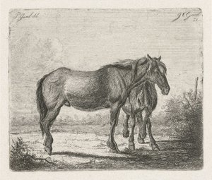 To hester av Jacobus Cornelis Gaal