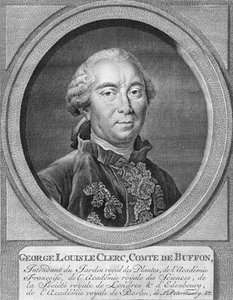 George Louis Leclerc, grev De Buffon, 1774. av Jacobus Houbraken