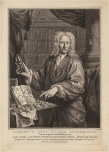  av Jacobus Houbraken