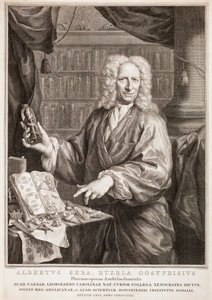  av Jacobus Houbraken