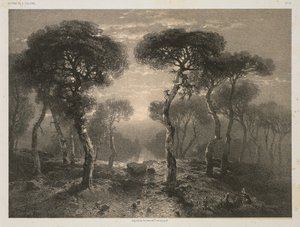 Verker av A. Calame, nr. 13: Forest of Sierre in Valais av Jacomme and Cie. R. de Lancry, 12, Paris