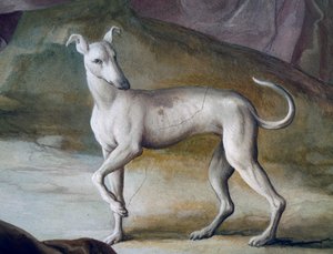 Hund, detalj fra freskomaleri av Jacopo Guarana (1720-1808), sentralhallen til Villa Contarini, Valnogaredo, Veneto, Italia
