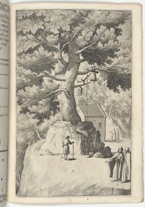 Bøketre med klokken (Faggio della campana) [plate X] av Jacopo Ligozzi