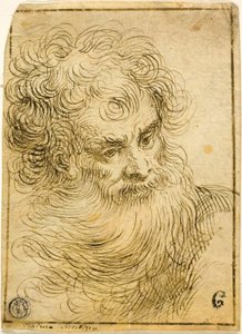 Head of Bearded Old Man (recto); Dekorativ skisse av blomster og blader (verso)