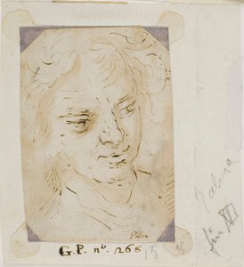 Leder av en mann av Jacopo Palma il Giovane
