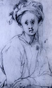  av Jacopo Pontormo