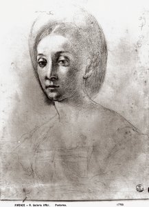 Hodet til en kvinne (kritt på papir) av Jacopo Pontormo