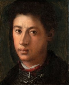 Portrett av Alessandro de Medici 1510-1537, 1534-1535 av Jacopo Pontormo