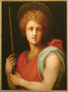  av Jacopo Pontormo