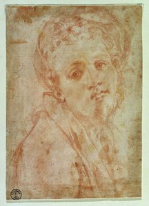 Selvportrett (rødt kritt på papir) av Jacopo Pontormo