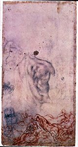 Studie for et portrett av Cosimo I Giovinetto med andre studier av vridende kropper (svart og rødt kritt på papir) av Jacopo Pontormo