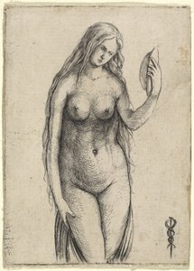 Naken kvinne som holder et speil allegori av Vanitas, ca. 15031504.