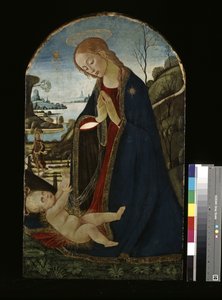 Madonna Adoring The Christ Child (olje på tre) av Jacopo del Sellaio