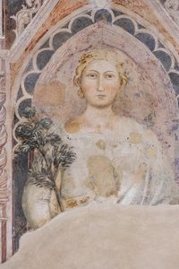 Allegory of the Dialectic (fresco)   1399549   no       norwegian Successfully Translated  Original: Kip en haan Translat: Kip en haan 1365817 no norwegian Successfully Translated Original: Oude man in mantel met bontkraag en helm Verzameling hoofden (seri av Jacopo di Cione