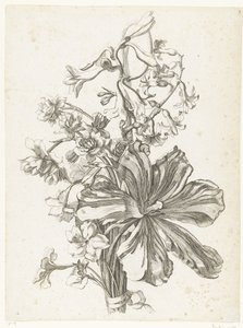 Bukett med en tulipan, en hyasint, brodiaea og påskeliljer Diverse Fleurs mises en Boucquets (serietittel) av Jacques Bailly (I)