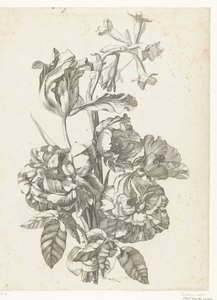 Bukett med peoner, en tulipan og en brodiaea Diverse Fleurs mises en Boucquets (serietittel) av Jacques Bailly (I)