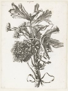 Bukett med falmede tulipaner, en anemone og immortelles Diverse Fleurs mises en Boucquets (serietittel) av Jacques Bailly (I)