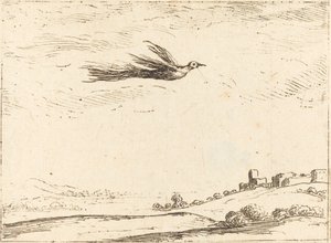 Fugl av paradis av Jacques Callot