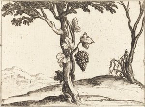 Klase med druer av Jacques Callot