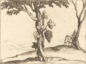Klase med druer av Jacques Callot