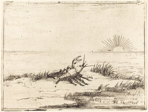 Kreps ser på solen av Jacques Callot