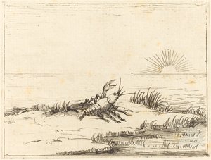 Kreps ser på solen av Jacques Callot