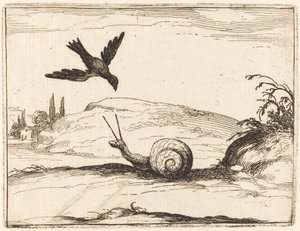 Kråke og snegl av Jacques Callot