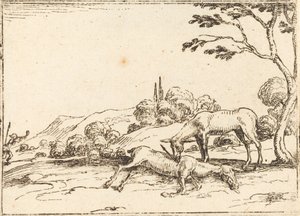 Doe sørger over føllet sitt av Jacques Callot