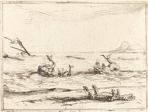 Delfiner og krokodiller av Jacques Callot