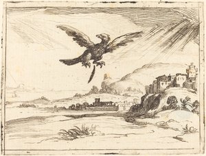 Ørn mister en gammel fjær, 1628.