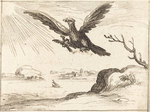 Eagle og Young av Jacques Callot