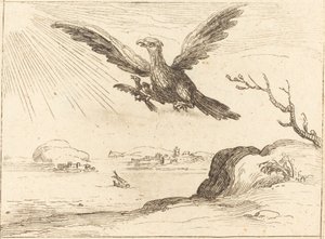 Eagle og Young av Jacques Callot
