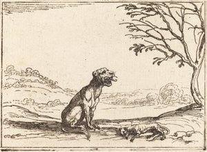 Løvinne sørger over ungen sin av Jacques Callot