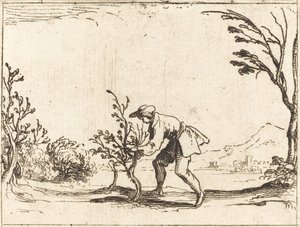 Mann som kutter et balsam-tre av Jacques Callot