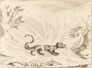 Salamander omgitt av flammer av Jacques Callot