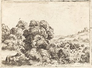 Sauen som kaller lam av Jacques Callot