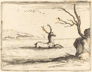 Hjort i vannet av Jacques Callot