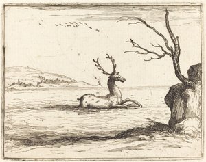 Hjort i vannet av Jacques Callot