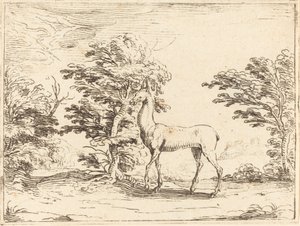 Doe av Jacques Callot