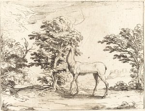 Doe av Jacques Callot