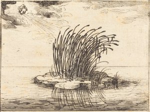Reeds and the Wind av Jacques Callot