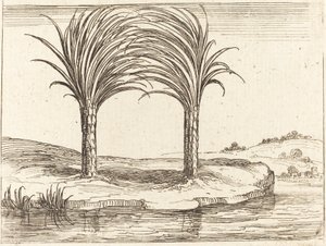 To palmer av Jacques Callot