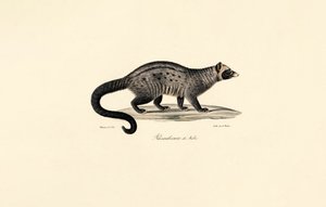  av Jacques Christophe Werner