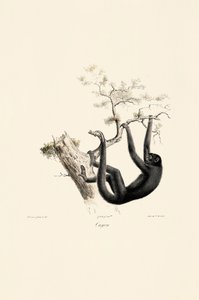  av Jacques Christophe Werner