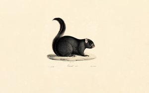  av Jacques Christophe Werner